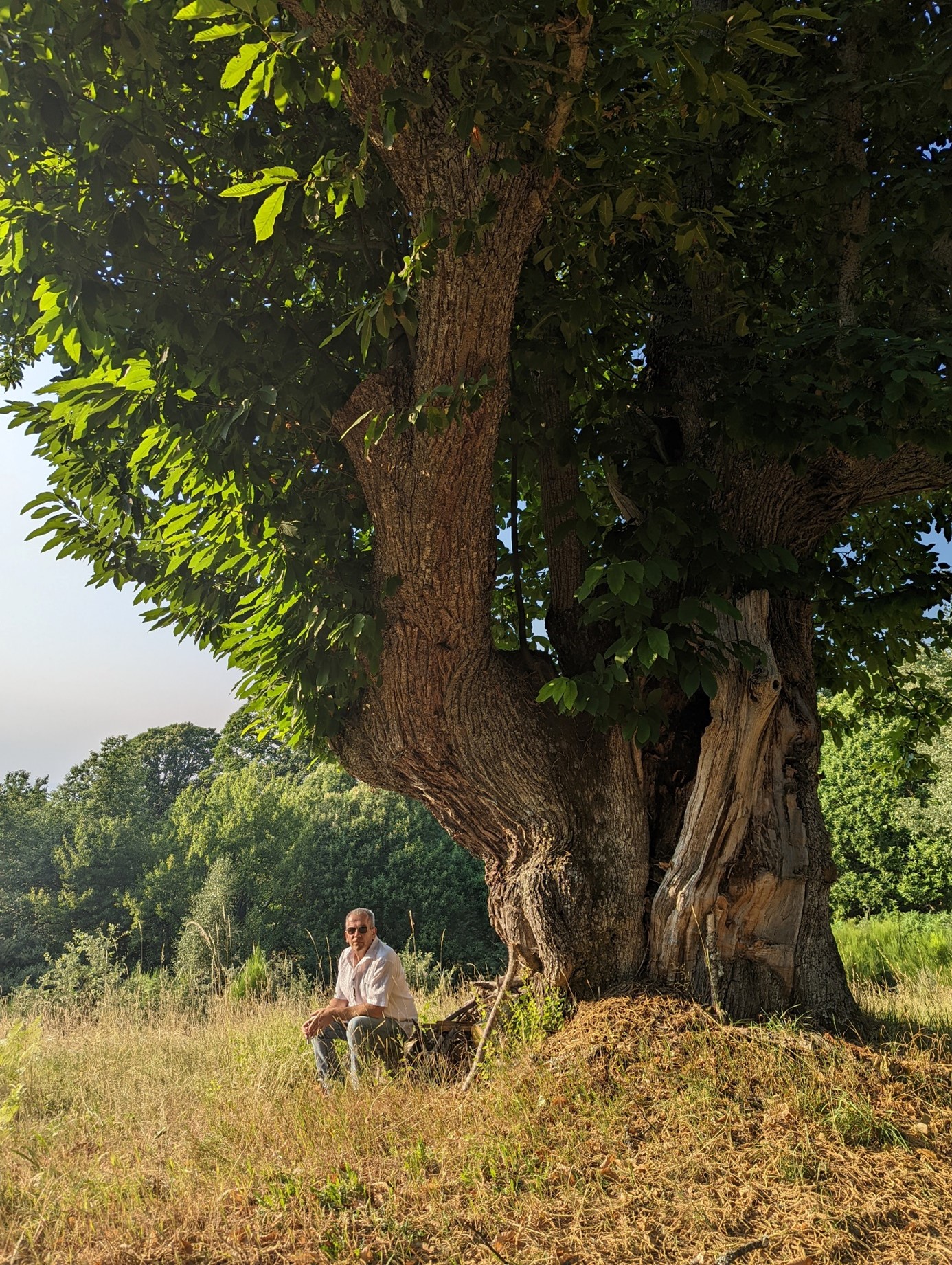 De tempérament solitaire et méditatif, je m'impatiente de vous rencontrer pour vous ...écouter (c) Eric Varin